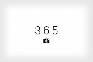 5 Things I Learned from Doing a 365 Photo Project