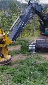 Selective timber harvesting in Montana. Video: Lifted Aerial | Healthy Forests, Healthy Communities