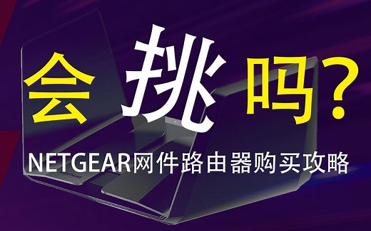 会挑吗？ 网件NETGEAR 路由器购买全攻略（逐一介绍网件路由器所有型号性能、配置参数）