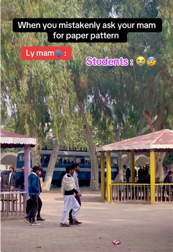 Understanding Paper Patterns at Islamia University Bahawalpur