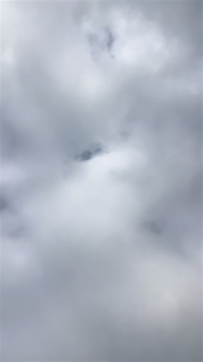 meglucy1 (@meglucy1)’s videos with original sound - aeholland