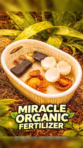 Turn Kitchen Waste into Gold for Your Garden❤️🌱#fertilizer #plants