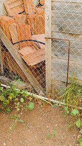 1.1M views · 3K reactions | Eco-Friendly Backyard Ideas Using Everyday Plastic Items | 5-Minute Crafts GIRLY | Facebook