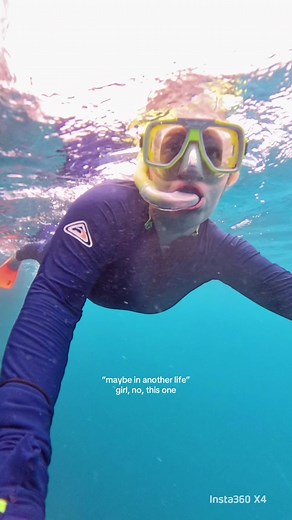 Exploring the Great Barrier Reef: A Snorkeling Adventure