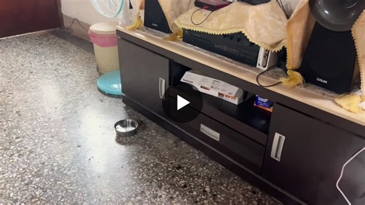 #raspberrypi5 #樹莓派 #cnn #卷積神經網路 #python #有些聲光效果學習才會好玩 | 張庭魁（Gerald）