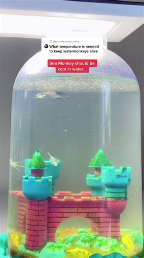 Sea Monkey Care Tips and Fun Facts