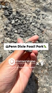 Time to dig up some fossils⛏️⛰️ @penndixiefossilpark The Hamburg Natural History Society was founded in 1993 to facilitate preservation of the former Penn Dixie Cement Corporation quarry located near Bayview Road in Hamburg, NY. Today, the centerpiece of Penn Dixie is a fossil quarry — ranked #1 in the U.S. in a scientific study — which is a global geological treasure that attracts thousands of visitors from across the world every year. Visitors to Penn Dixie are encouraged to collect — and keep