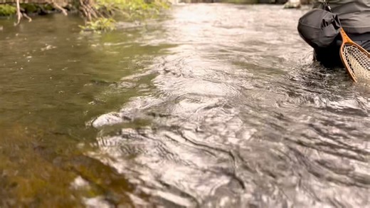 699 reactions · 22 shares | Fly fish the peaceful side of the Smoky...