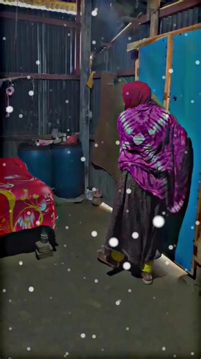 Dog Meeting: Heartwarming Moments Between Pups