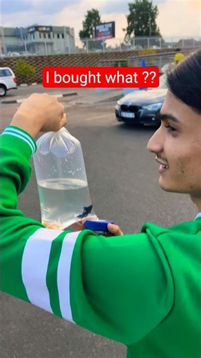 Buying my first fish! (Chaos guaranteed) 🐟 #firstvlog #shorts