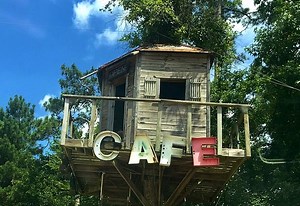 Dine among the treetops at this whimsical cafe in the Houston suburbs