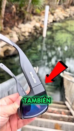 ¿Qué verás a través de estas gafas? 😱 #catsoftiktok #catlovers #cat #cute #fyp #shortsvideo