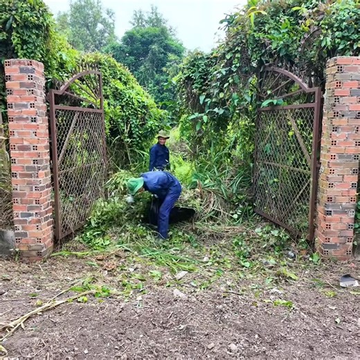 Time lapse transformation 8 minutes of cleanup turns an abandoned house into a clean, livable space 🧹🏠 #HouseCleanup #TimelapseCleaning #AbandonedHome #SatisfyingClean #RestorationProject #PositiveChange | Clean The Old House