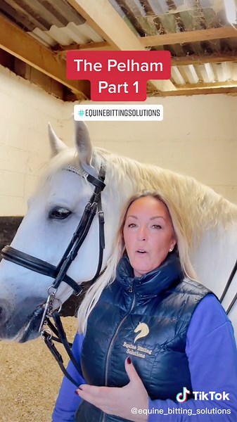 Understanding the Versatile Pelham Bit for Equestrian Training