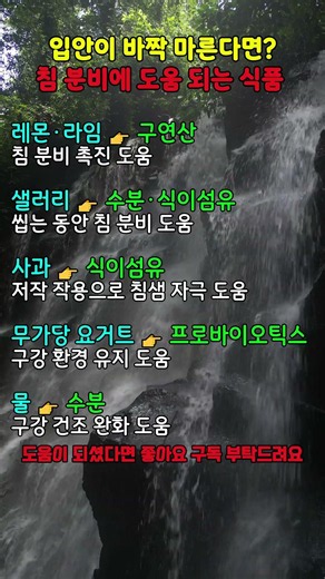 구강 건조 고민 끝! 촉촉한 입안을 위한 천연 솔루션 #구강건조 #입마름 #침분비 #구강건강 #건강정보 #닥터러브TV