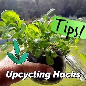 119K views · 4.3K reactions | 3 Gardening Upcycling Tips | Self Sufficient Me | Facebook