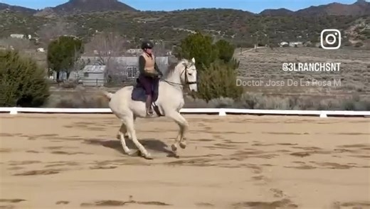 With all the crazy that is my life the last 10 weeks - the ups, the downs, the chemotherapy, immunotherapy, labs, infusions, injections, doctor appointments, pills, more pills, omg, more pills - I keep showing up! It may be slow but I am still making training progressing forward with Fashion! 🌟 Last weekend we got our first ever on the aids line of five clean 3 tempis! 🙌🏻 🎉 I know there is room for improvement in straightness, connection and confidence to have them more confirmed but I am SO