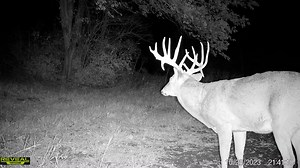 6.5K views · 317 reactions | How fast are you pulling the trigger on this beast!? | REVEAL by Tactacam | Facebook