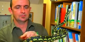 Schlange löst Polizeieinsatz aus