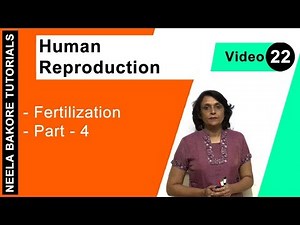 Human Reproduction | NEET | Fertilization - Part 4 | Neela Bakore Tutorials