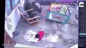 315K views · 8.1K reactions | #Viral Un gato salvó a un bebé de caer por las escaleras cuando el pequeño jugaba en la terraza de su hogar en Colombia. Las imágenes recorren el mundo. RedMedia 29/Agosto /2021 | RedMedia | Facebook
