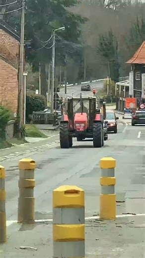 kind #Same #Explorer #75 #Zondeegeenvoer🍐🚜🥔🌽🥛🤠 #Tractorlover #Tractorspots #protsopdeboer #❤️❤️❤️ | Jo Ross