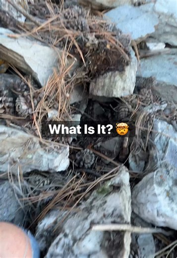 The Crystal Hunters on TikTok