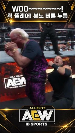 WOO~~~~~~~! Ric Flair! Pressing the rage button