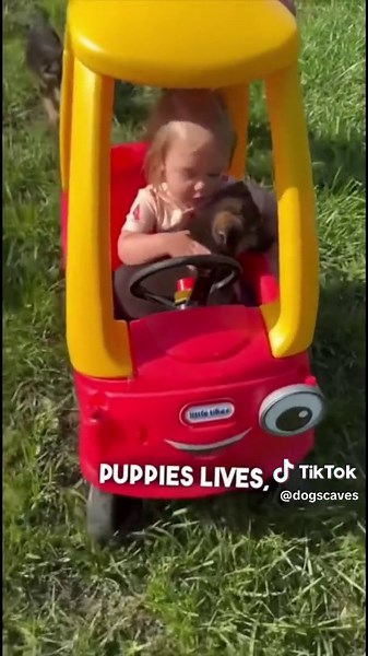 Dogs Cave on TikTok