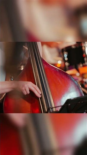 Echoes of Maya. Familiar. Agnes Obel Cover (Live Acoustic)