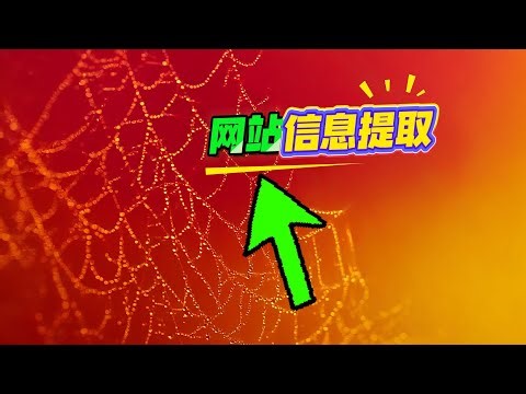 我用了Google AI Studio做了什么？3步教你搞定数据提取！