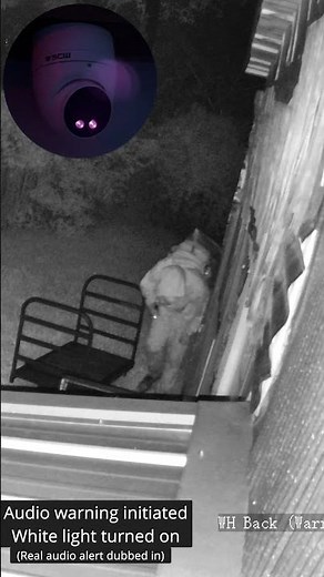 How to Stop Trespassing: Active Deterrence Cameras in Action!