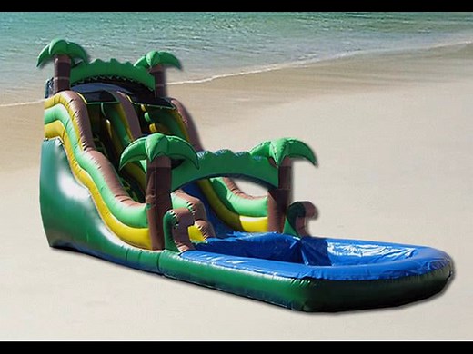 Rent Party Inflatable Bounce House Slide Jumpers Rentals