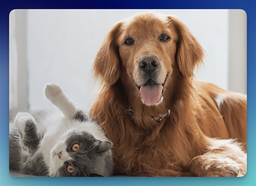 Petco: Free Mother's Day Photos, Puppy Playtime & More (May 2nd & 9th)