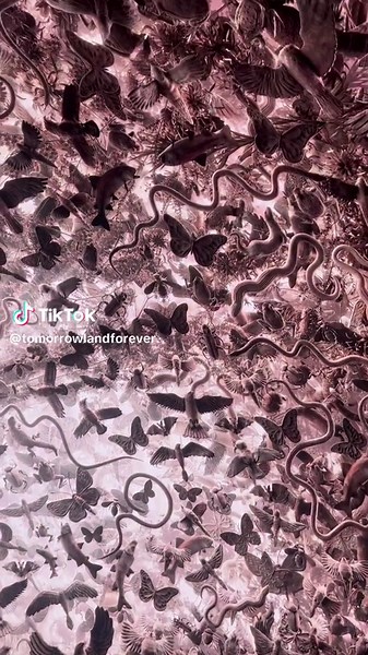 Epic Visuals at Sphere Las Vegas: Unforgettable Rave Experience