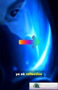 How Fish See Underwater (And Why It Matters)