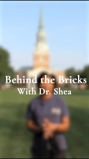 Hit the Bricks at Wake Forest University on Instagram: "Behind the Bricks with Dr. Shea, learn why she Hits the Bricks! 隣 ‍♀️"