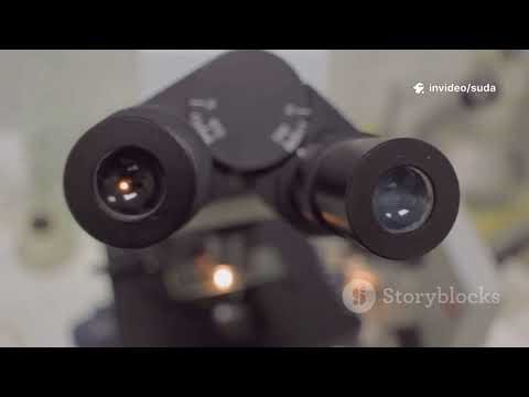 You are using Microscope wrong❗ Watch this to use it correctly. #science #biology #microscope