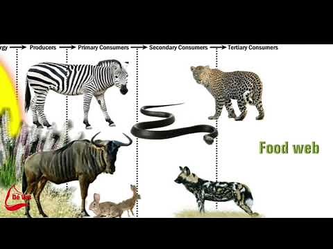 Biomes of South Africa