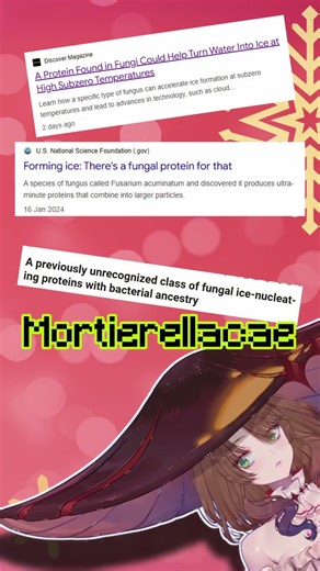 This week's interesting mushroom news - March 20