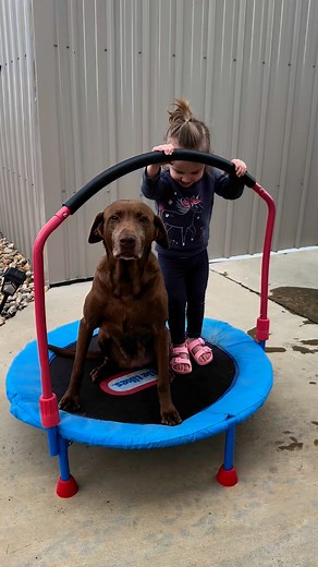 5.5K views · 85 reactions | #bestfriends | Coteau View Hunts and Kennels, LLC. | Facebook