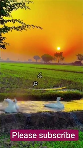 Keeravani..#TeluguReels #TeluguShorts #ReelsTelugu #TrendingTelugu #ViralTelugu