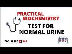04 TEST FOR NORMAL URINE | BIOCHEMISTRY PRACTICAL