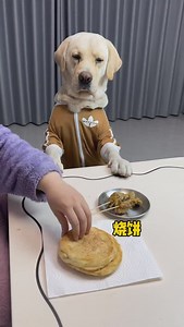 🐶 #我是羚麟 #拉不拉多 #我要吃肉肉 #要吃大肉 | Cheng Ling Lin