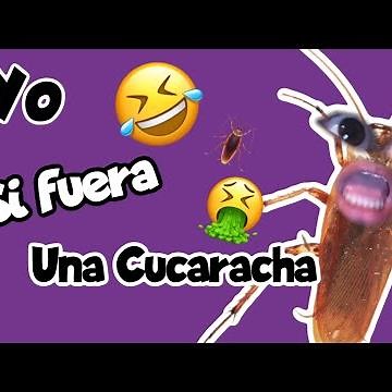 Yo, si fuera una CUCARACHA 🪳🤣 JAJAJA (DoblajE)