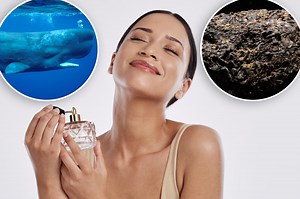 How whale vomit became the key to the most luxurious fragrances