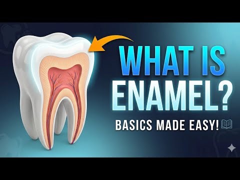 What is tooth enamel ?| Composition and Structure 