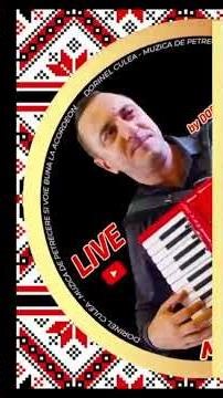 Sârbă Tradițională la Acordeon | Dorinel