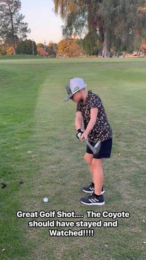 Cool Hand Luke has a Coyote “SPECTATOR”… Watch this Golf Shot!.. if you want to inquire more information on Kent Chase Golf Ministries visit our website https://kentchasegolf.org #trendingreel #Ping #golflife #Arizona #tiktok #today | Kent Chase
