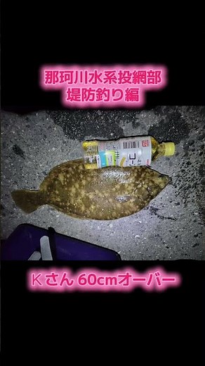 海釣り [茨城県で堤防釣り KING Ｋ] 60cmオーバーの大物を釣る #釣り